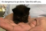 it&#039;s dangerous, take this