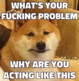 doge problem