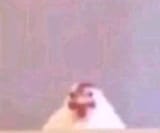 GJyrbfiWIAA39na