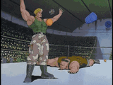 guile-streetfighter-animated-wrestling-ring-fruit