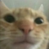 1733160210387933
