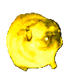 1616892637269