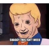 this isn&#039;t weed