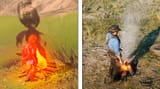 video-comparing-t-of-breath-of-the-wild-and-red-dead-redemption-2-UJ6JgyFtzhs-1038x576