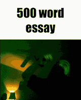 500 word essay