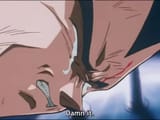 Vegeta damn it