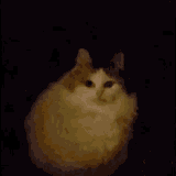 1694191484786140