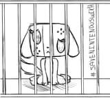 JailedSwitchDog
