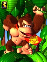 dk2