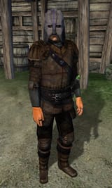 Gray_Fox_2