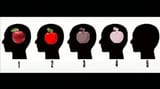 Imagination-test-3051000121