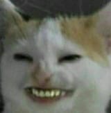 1738463824370588
