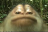 1737223735459