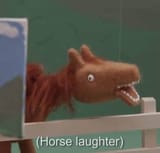 Horse Laughter