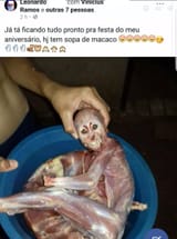 uma delicia