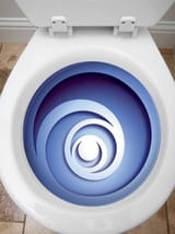 ubishit