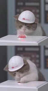 1519318386533