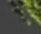 1721252137915660