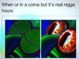 1719653340498724