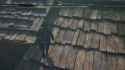 2025-03-20_GeraltofGoonia_1902930286796505181_xuhw4_DOsHOp3n72_thumb.jpg
