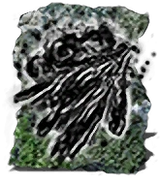 Dark_Bead