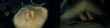 1530970788116 - Copy