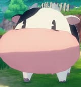 cow moo