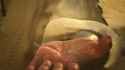 Milds endgame_thumb.jpg