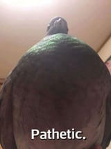 1747868433979438