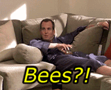 Bees