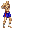 Snes_ssf2_sagattiger