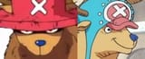 chopper hat shadow