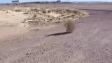 tumbleweed