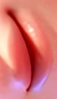 pauline lips