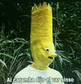 var sinso