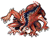 spine