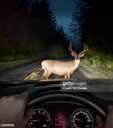 gettyimages-532449448-612x612
