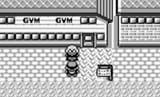 the man who loves Celadon Gym