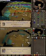 1623339778278