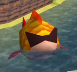Coolfish1