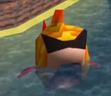 Coolfish2