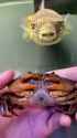 1682042224462914_thumb.jpg