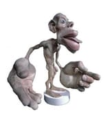 homunculus