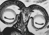 Kiss goat heads phallus
