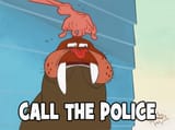 call the police