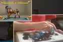 one handed fighting games_thumb.jpg