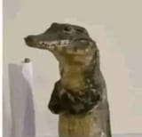 1737862481416267