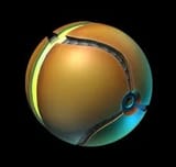morph ball