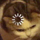 loading_cat