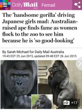 1539406178205